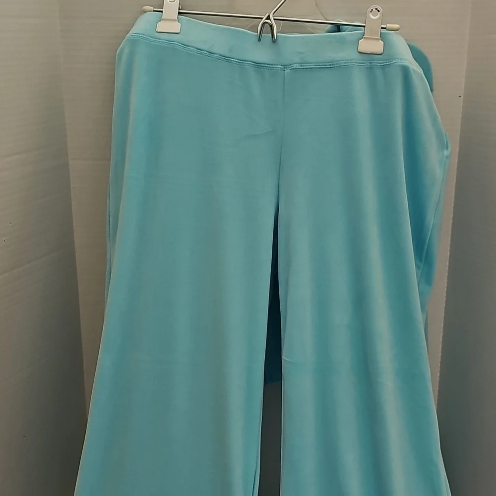 Juicy Couture Aqua Velour Hoodie and Pants Set - Picture 5 of 5